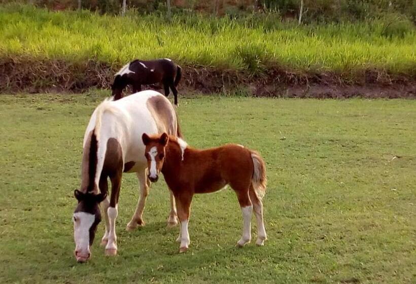 酒店 Fazenda Oásis