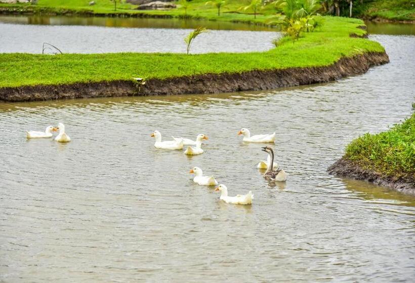 酒店 Fazenda Oásis