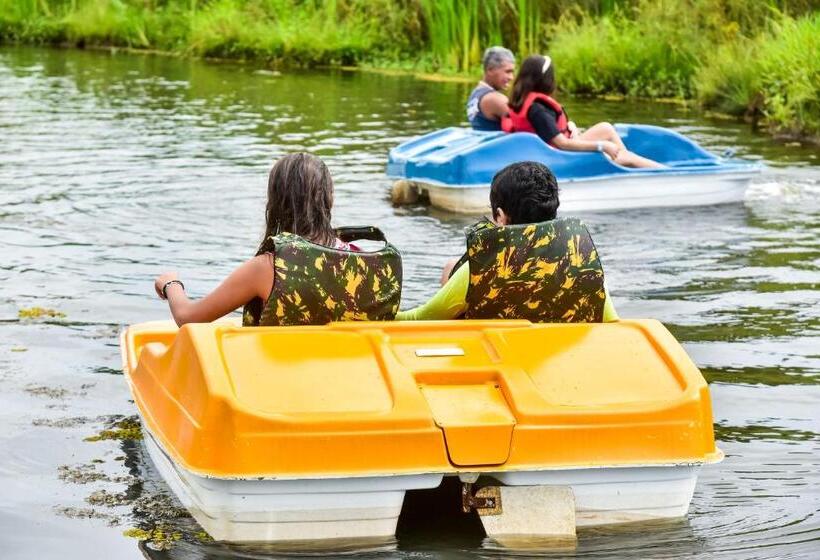 酒店 Fazenda Oásis