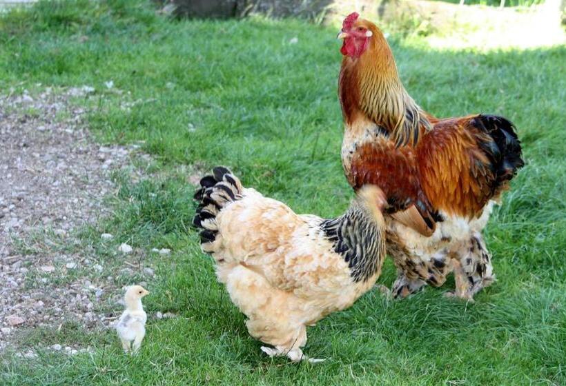 ホテル Ferienwohnung Jodlhof