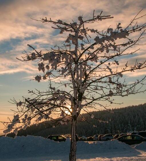 호텔 Haus Oberland
