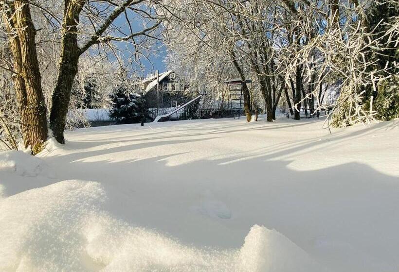 ホテル Haus Rosenbaum Gruppenhaus  Begegnungsstätte   Pension