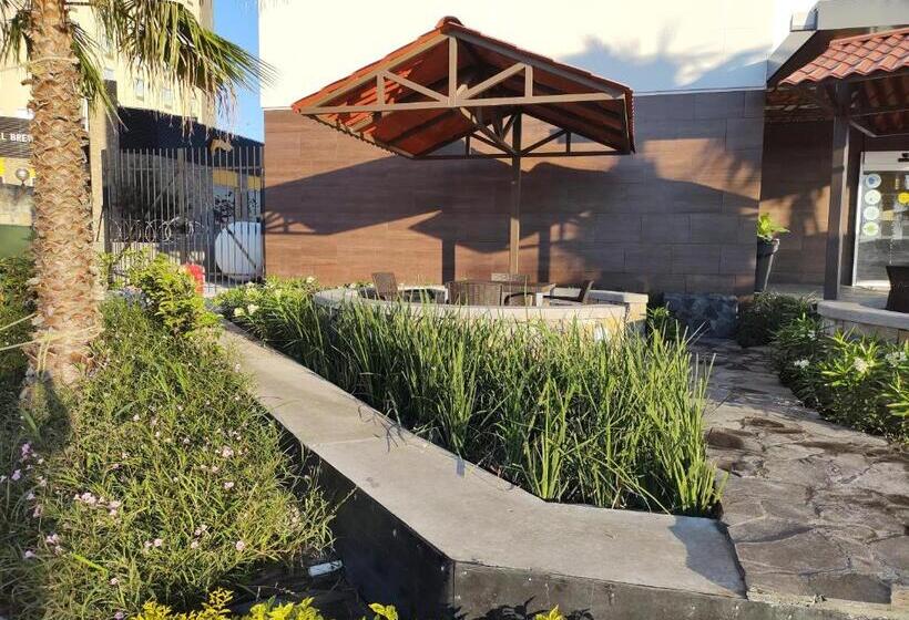 Отель Hi! Monterrey Aeropuerto