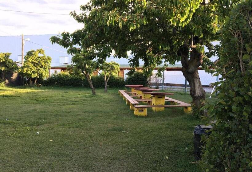 호텔 Los Dos Pinos