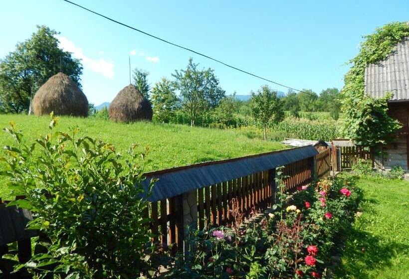 فندق Pensiunea Lucia