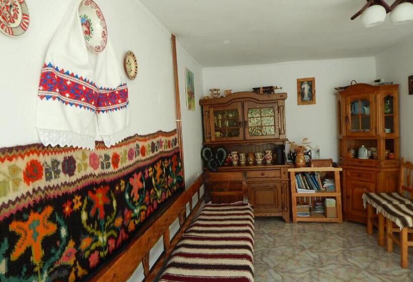 فندق Pensiunea Lucia