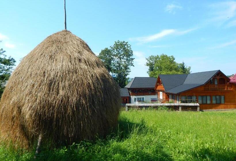 فندق Pensiunea Lucia