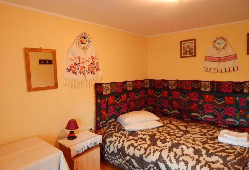 فندق Pensiunea Lucia