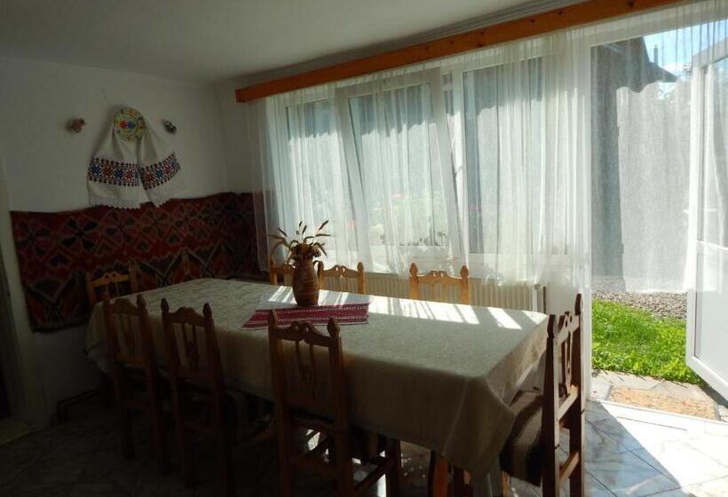 فندق Pensiunea Lucia