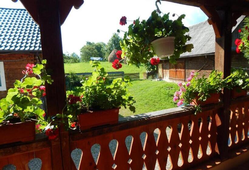 فندق Pensiunea Lucia