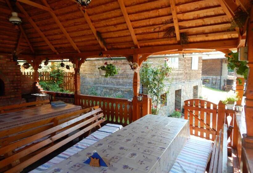 فندق Pensiunea Lucia