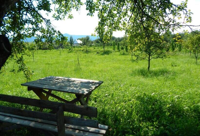 فندق Pensiunea Lucia