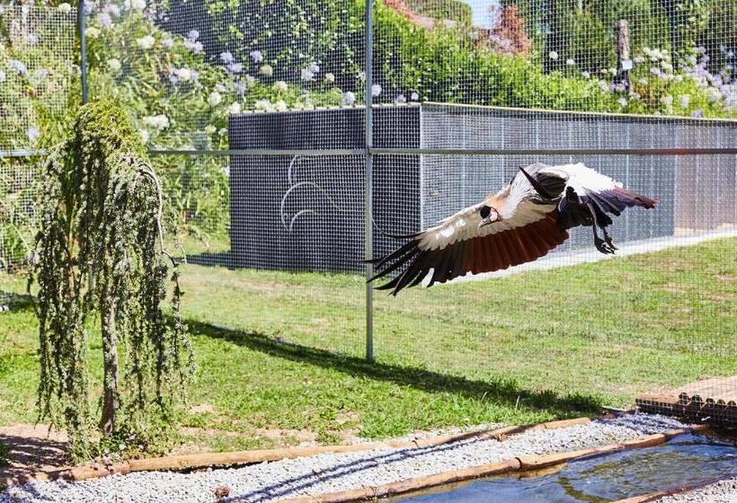 酒店 Quinta Do Lordelo Turismo Rural