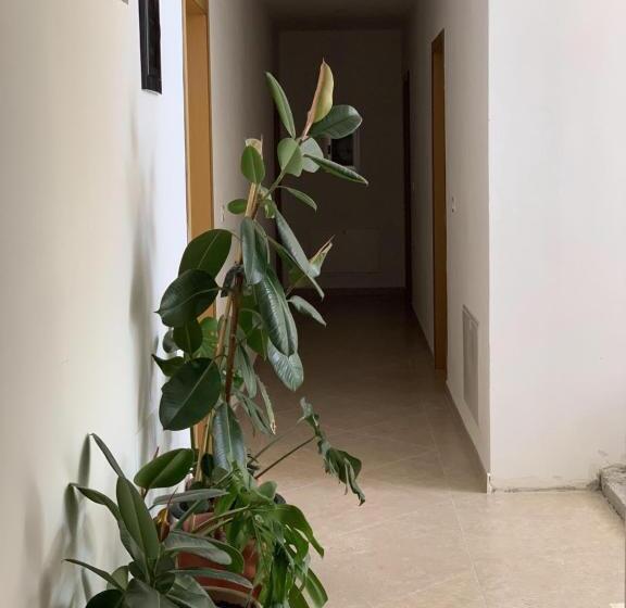 בית מלון כפרי Vila Beni