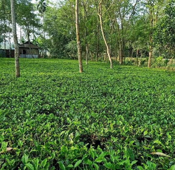 酒店 Viswamurti Resorts