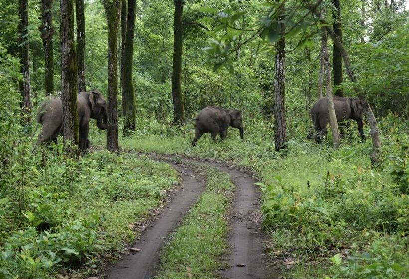 酒店 Viswamurti Resorts