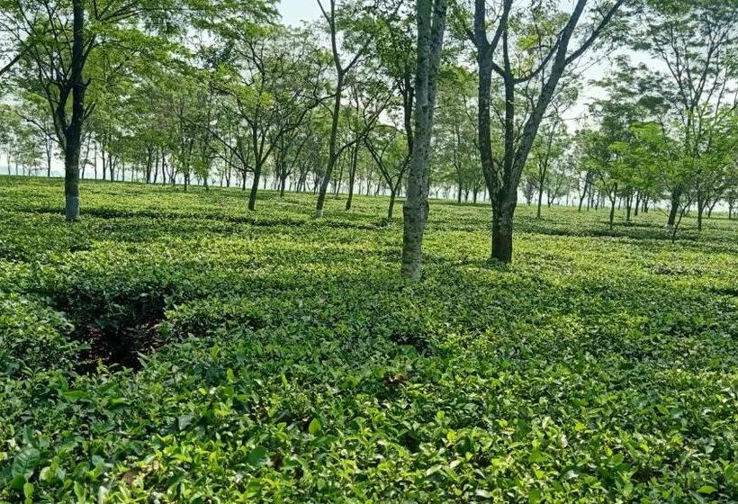 酒店 Viswamurti Resorts