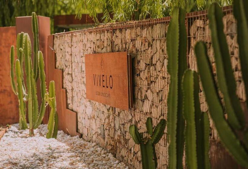 Отель Vívelo Elqui Landscape