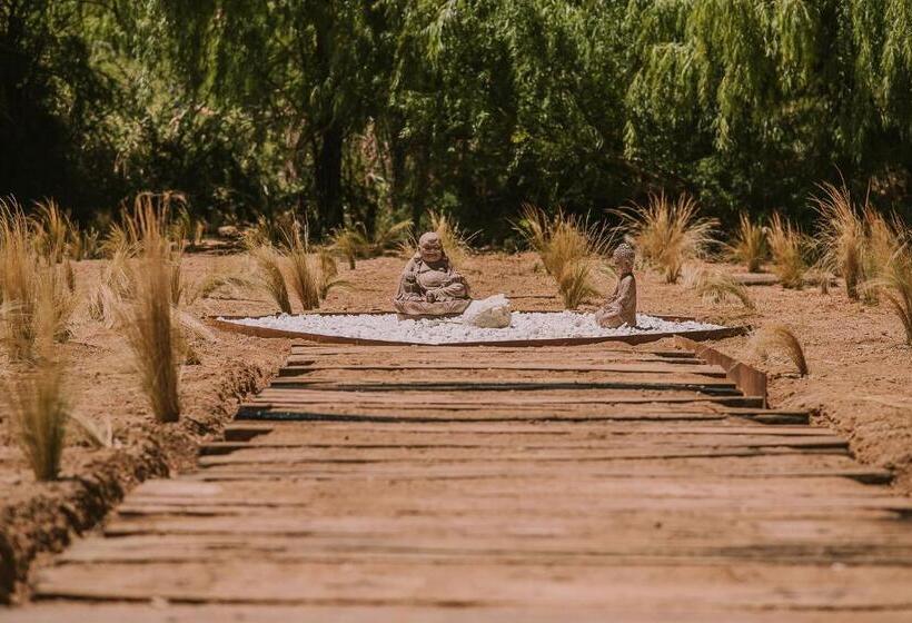 Отель Vívelo Elqui Landscape