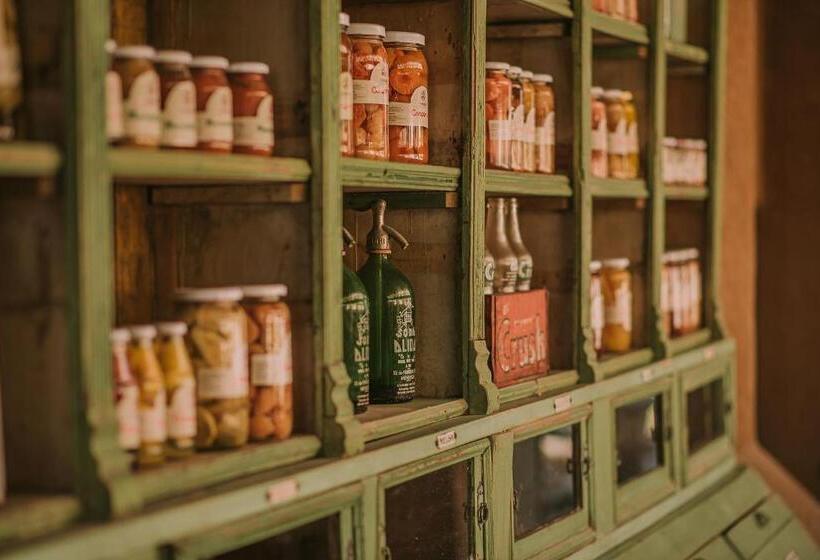 Отель Vívelo Elqui Landscape