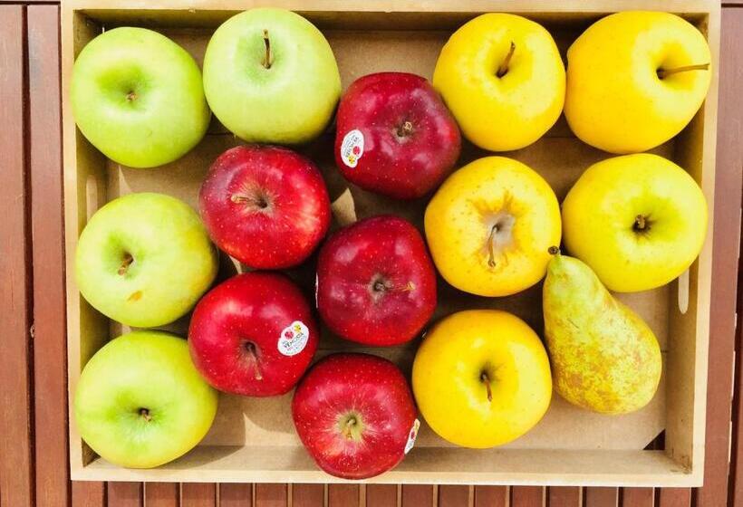 La Casa Di Rinaldo B&b