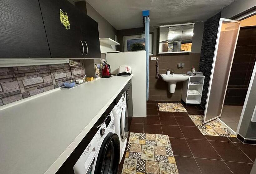 ペンション Apartmán V Suterénu