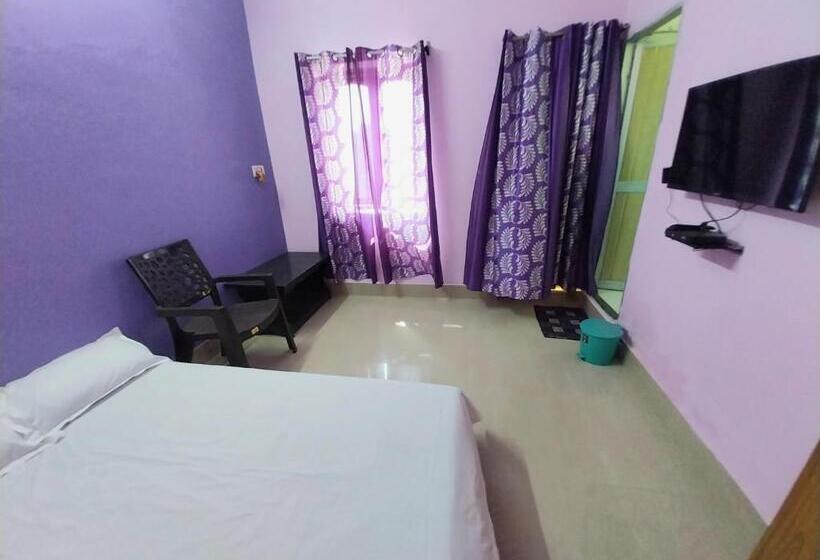 פנסיון Aryan Guest House