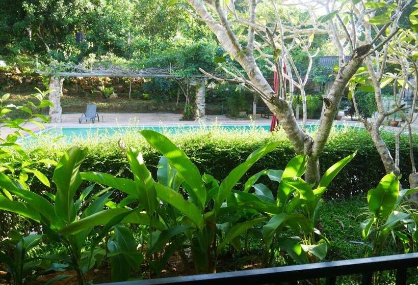 פנסיון Big Elk Steak House   Homestay