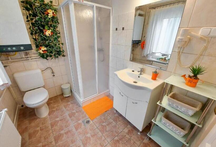 펜션 Bor Villa Vendégház