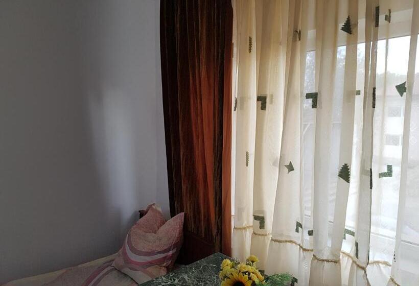 פנסיון Casa Rustica Apart & Rooms