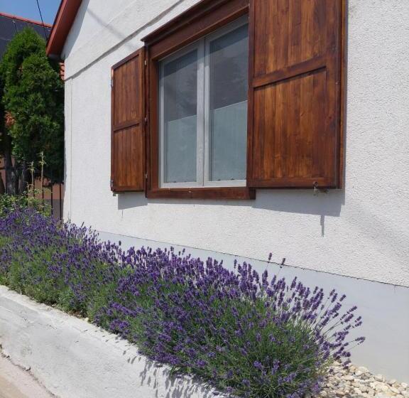 펜션 Fehér Szeder