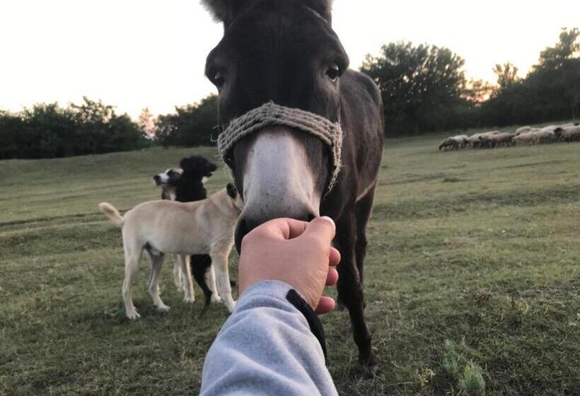 پانسیون Guesthouse Rebel