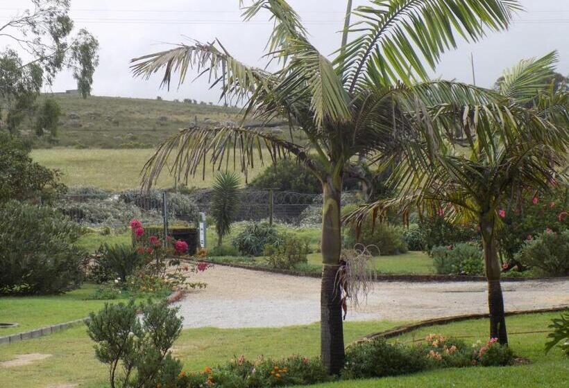 פנסיון Haka Hana B&b