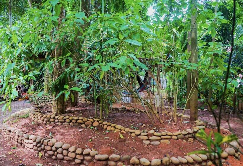 پانسیون Hospedaje El Bosquecito