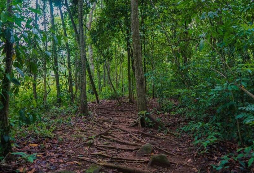 بنسيون Hospedaje El Bosquecito