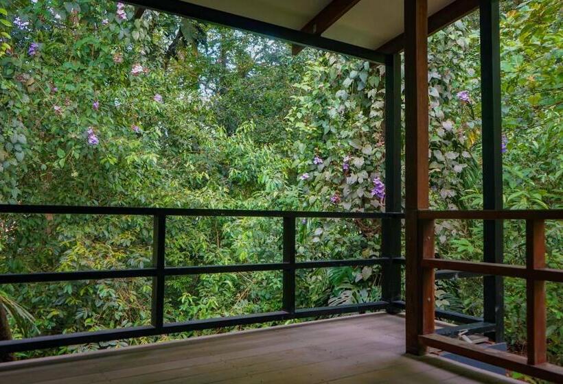 پانسیون Hospedaje El Bosquecito