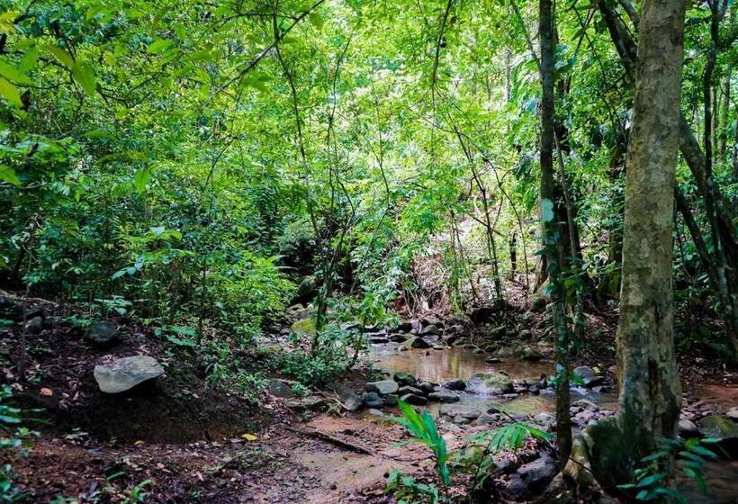 پانسیون Hospedaje El Bosquecito