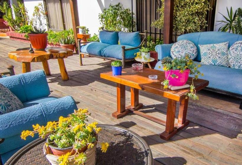 膳宿费 Hostal Almares