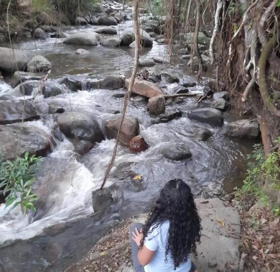 ペンション Hostel Villa Silvia