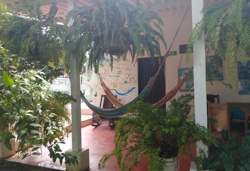 ペンション Hostel Villa Silvia