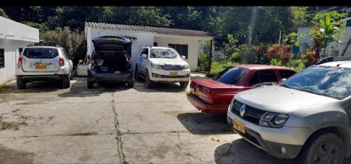 ペンション Hostel Villa Silvia