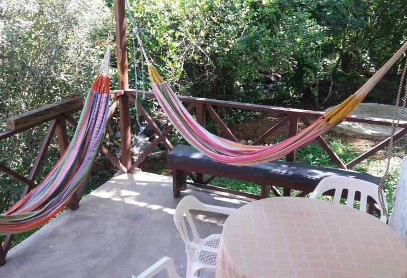 ペンション Hostel Villa Silvia