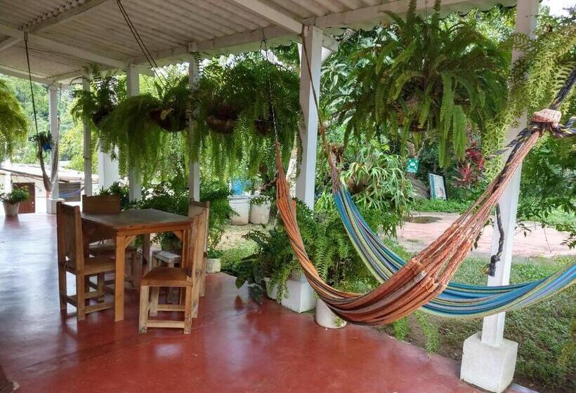 ペンション Hostel Villa Silvia