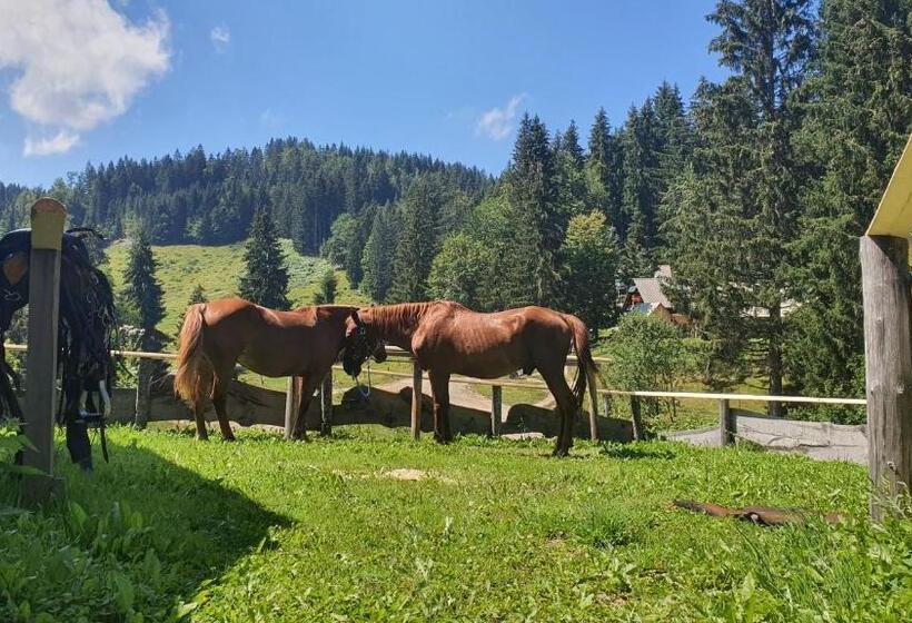 پانسیون Koča Goška Ravan