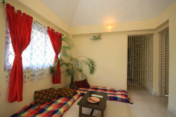 פנסיון Little Nest