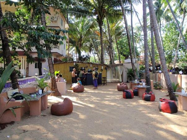 פנסיון Little Nest