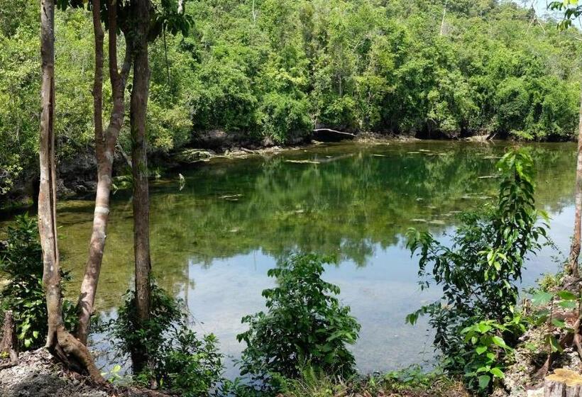 ペンション Maratua Guesthouse