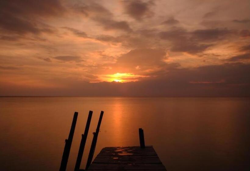 ペンション Maratua Guesthouse