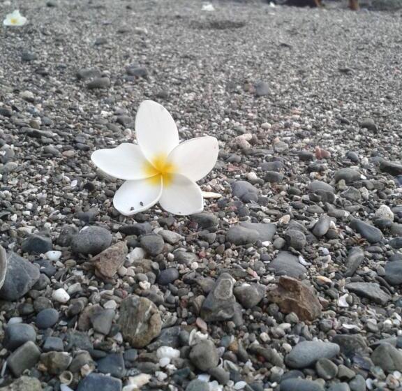 펜션 Oceanfront Gem At La Joya De Lagarto