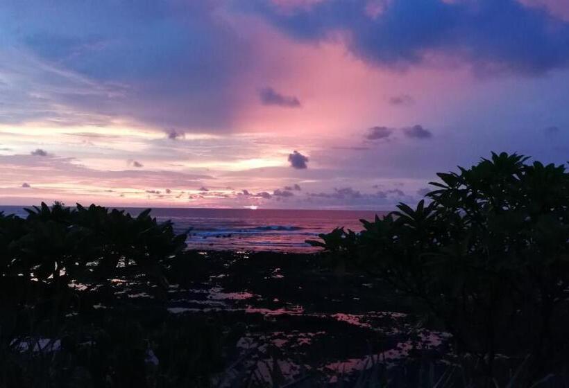 펜션 Oceanfront Gem At La Joya De Lagarto